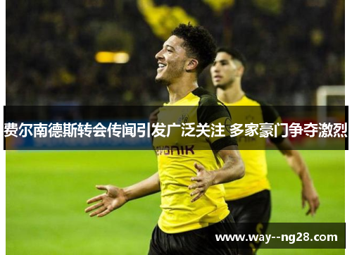 费尔南德斯转会传闻引发广泛关注 多家豪门争夺激烈