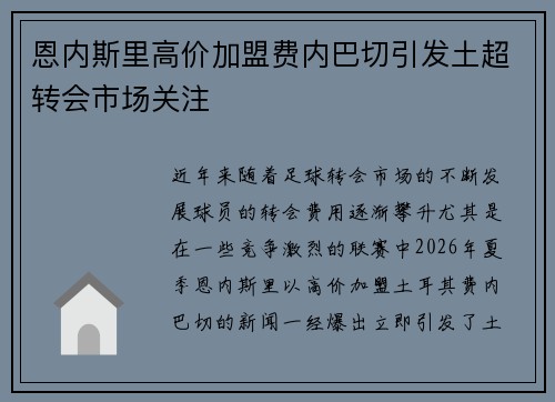 恩内斯里高价加盟费内巴切引发土超转会市场关注