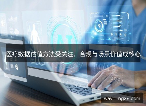医疗数据估值方法受关注,合规与场景价值成核心 医疗数据估值方法受关注,合规与场景价值成核心