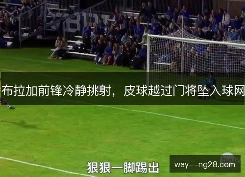 布拉加前锋冷静挑射,皮球越过门将坠入球网 布拉加前锋冷静挑射,皮球越过门将坠入球网